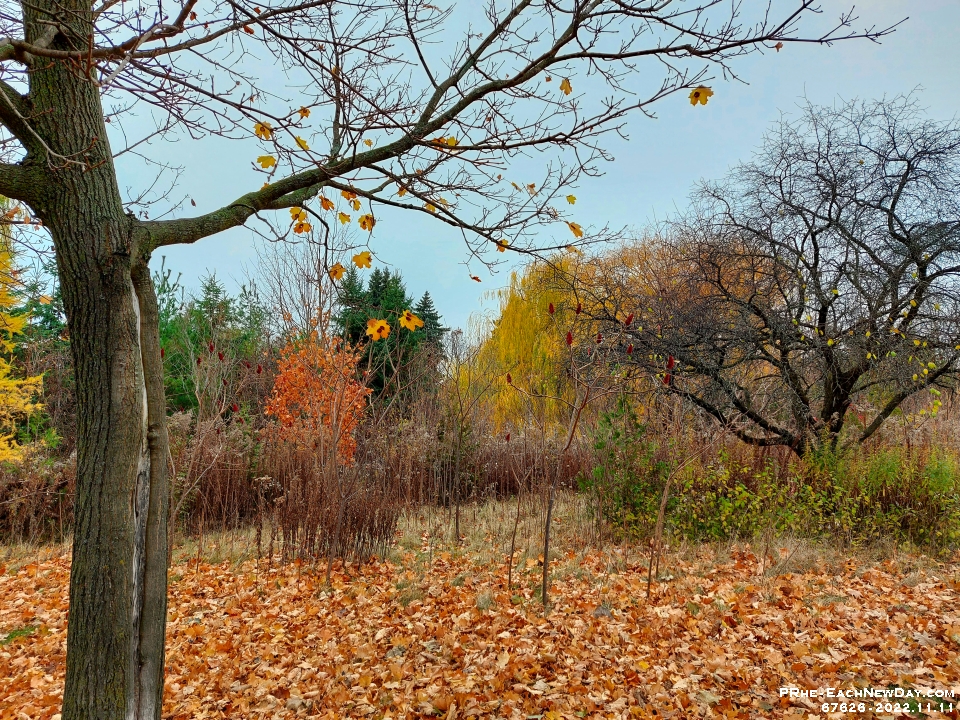 67626Le - Walking along Miller's Creek